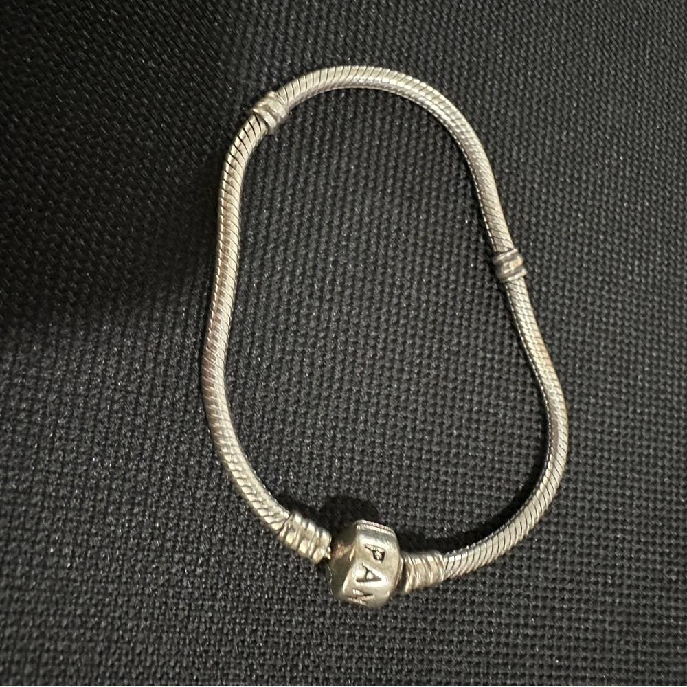 Pandora Sterling Silver Snake Charge Bracelet